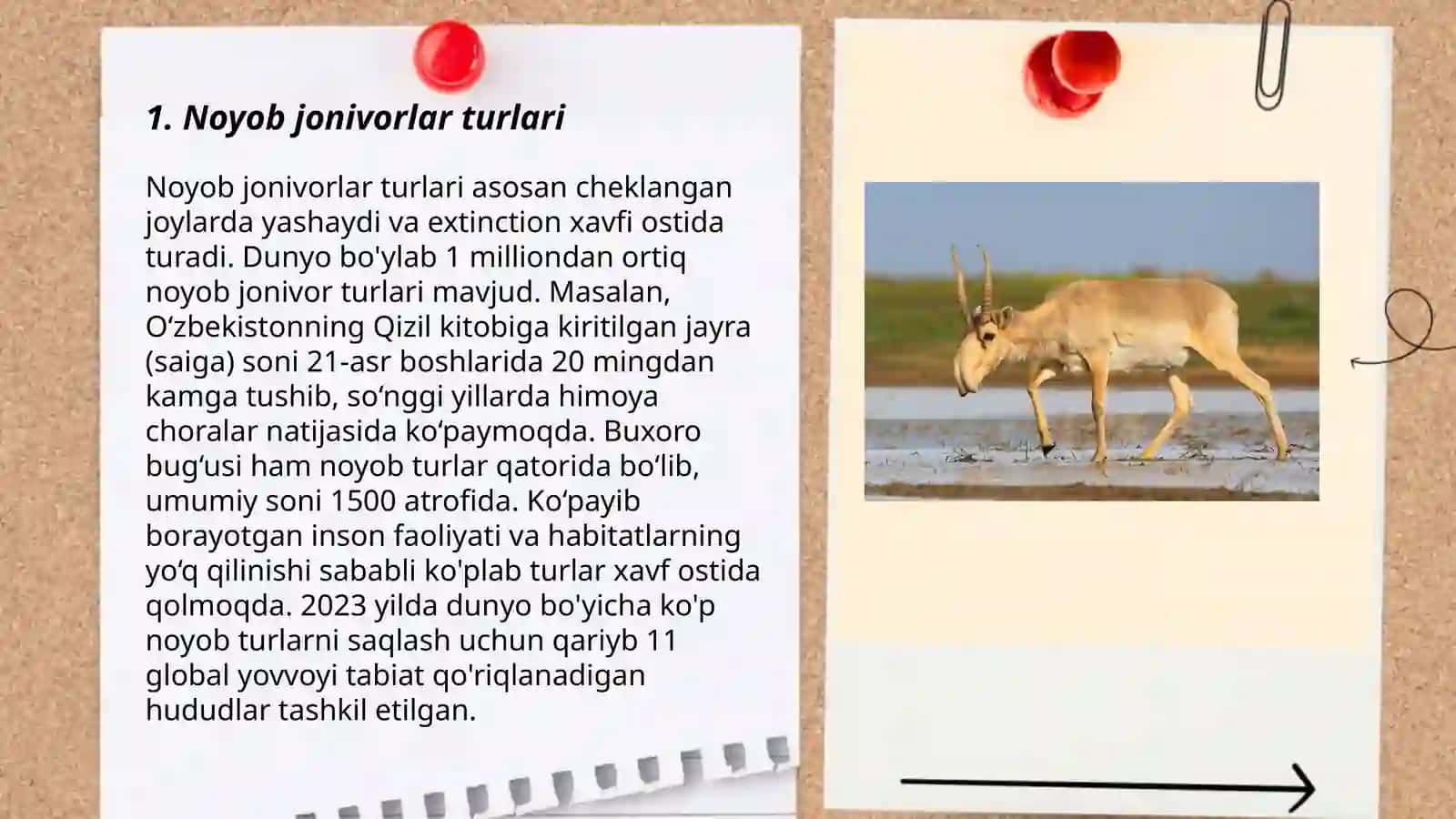Noyob jonivorlar 3