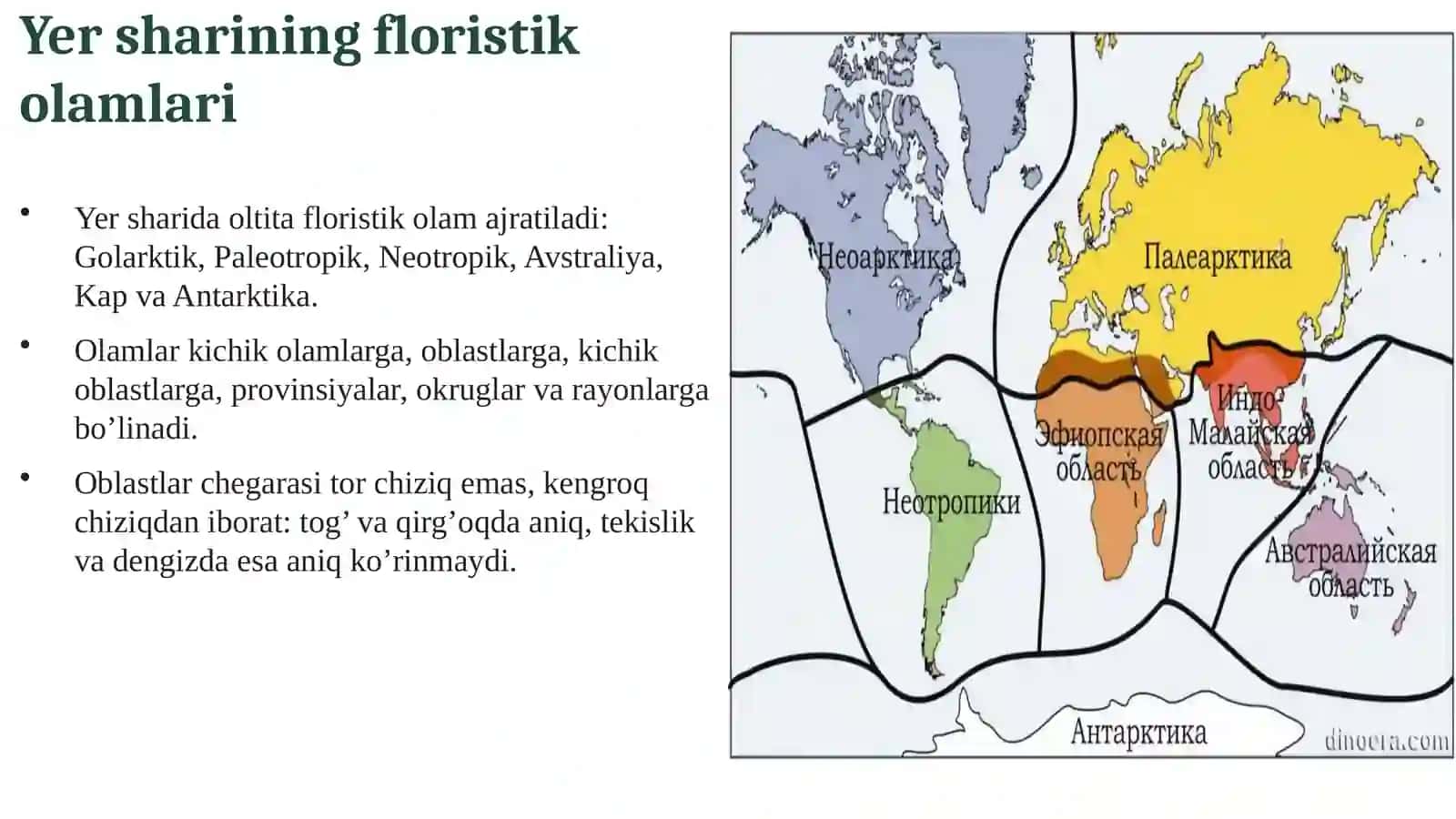 Golarktik floristik olami va uning kichik olamlari 3