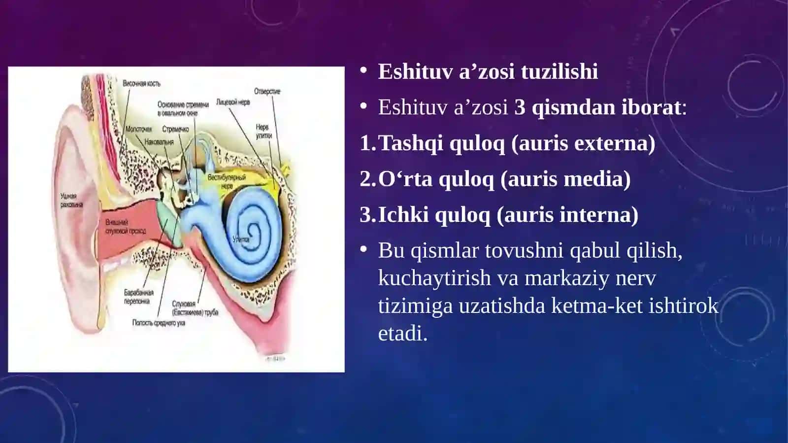 eshituv analizatorlari 3