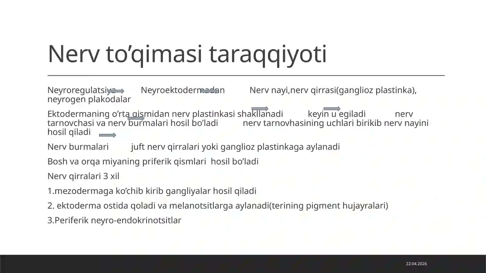 Nerv toʻqimasi 3