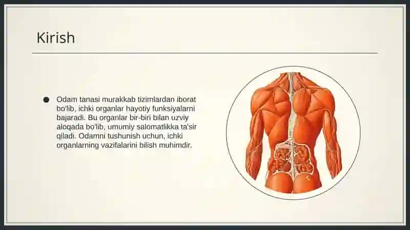 Odam va uning ichki organlari 3
