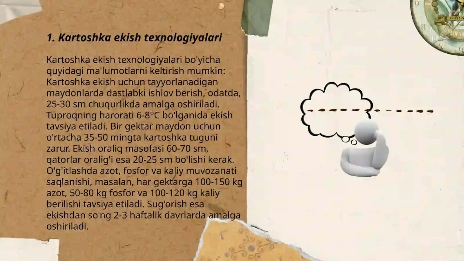 Kartoshka ekish texnologiyalari 3