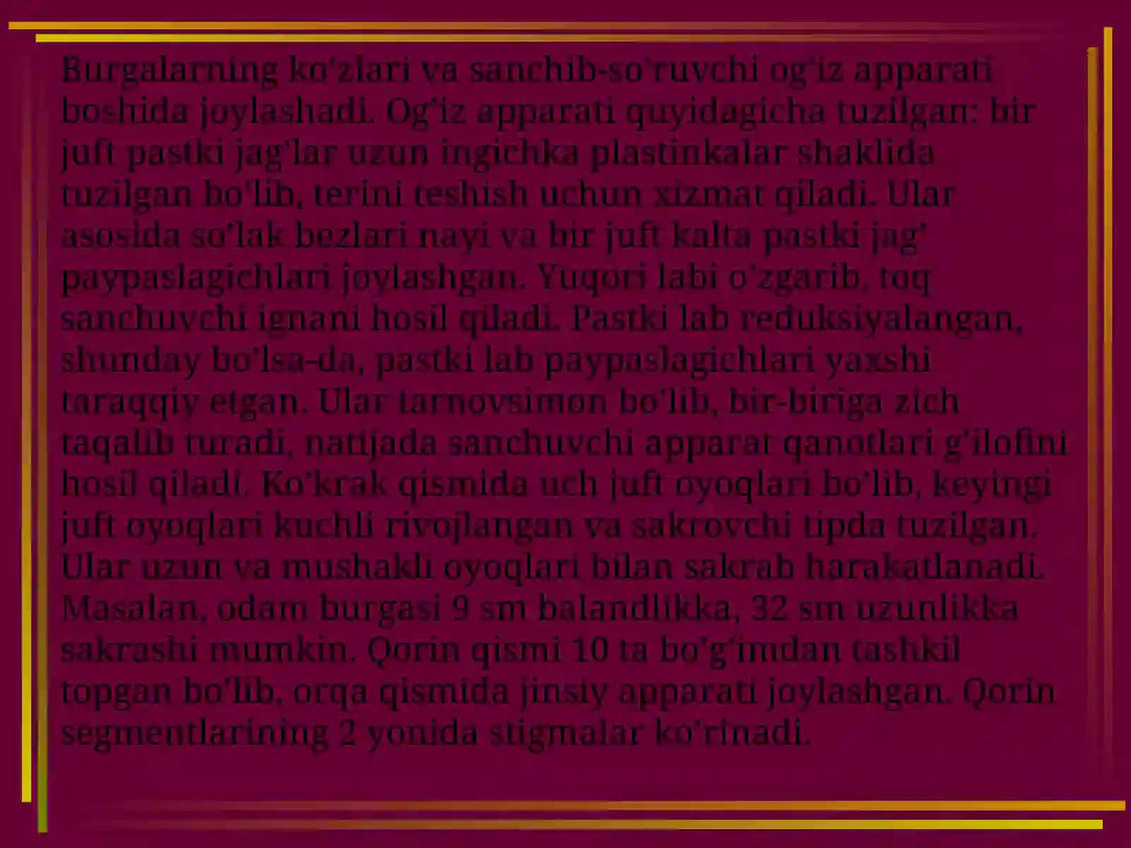 Burgalarning tuzulishi va rivojlanishi 3