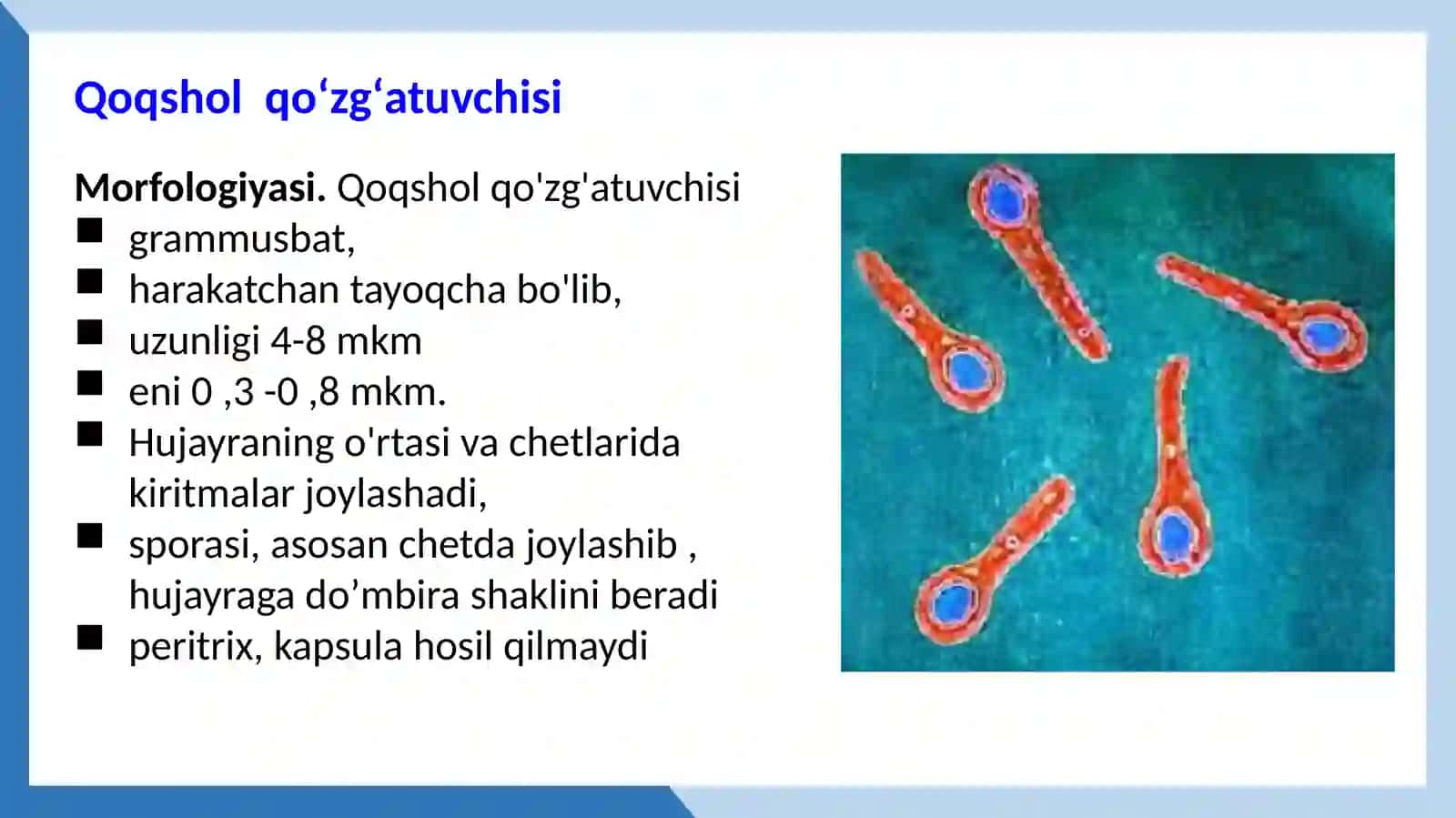 qoqshol_gazli_gangrena 3