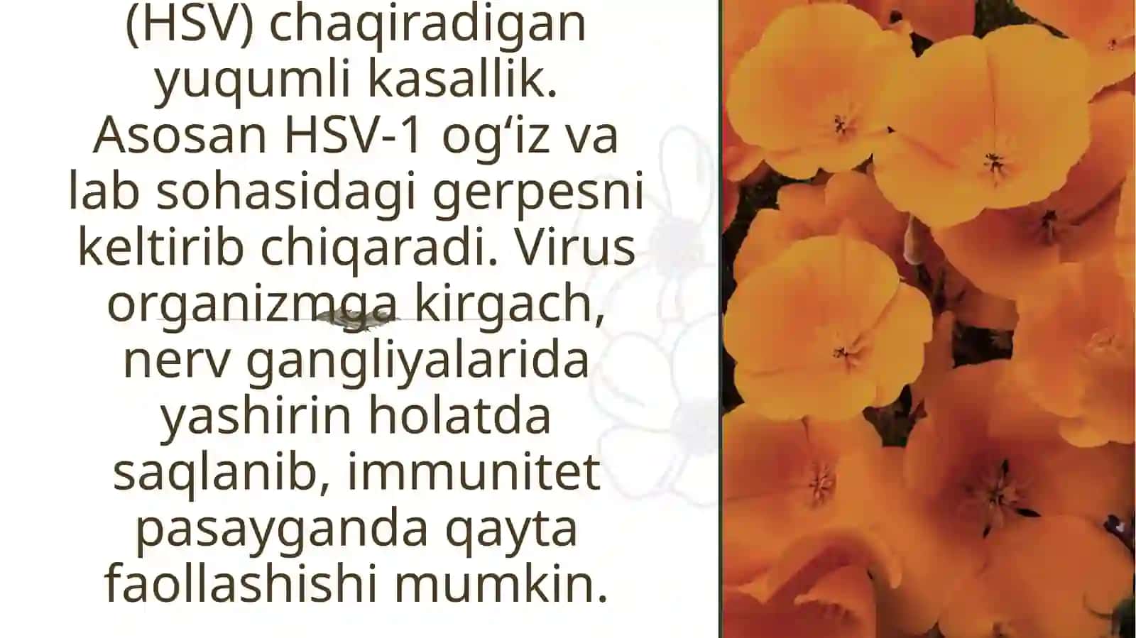 Virusli kasalliklarini namoyon bo‘lishi 3