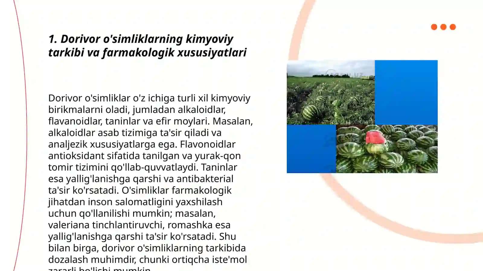 Dorivor o'simliklarni kimyoviy tarkibi 3