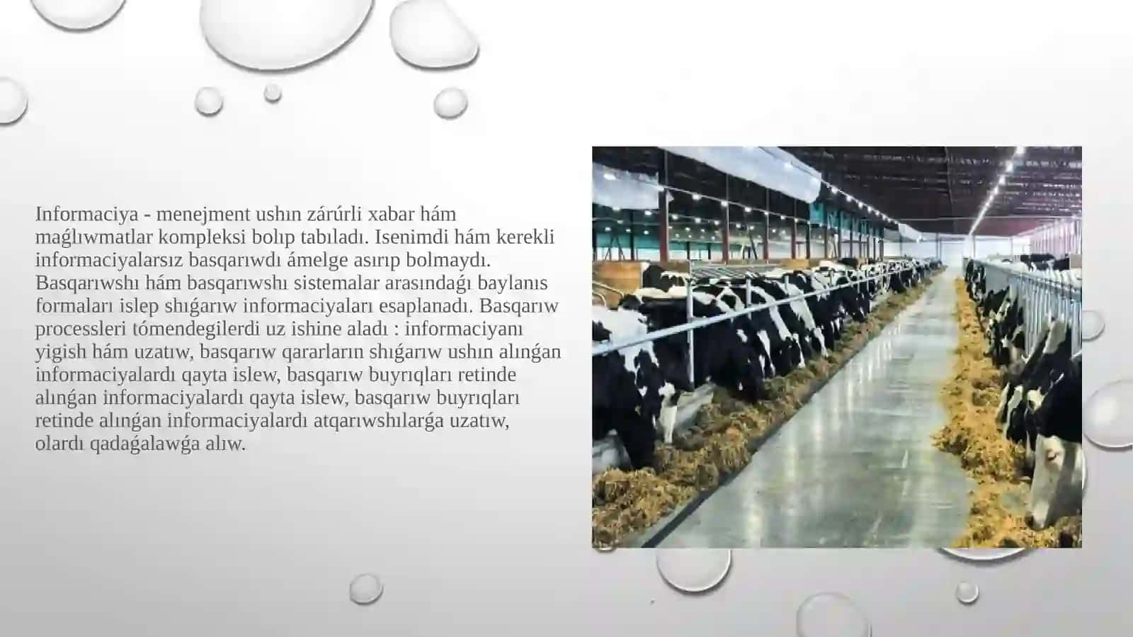 Sharwashiliqta menedjment ham islep shiǵariwdi shólkemlestiriw 3