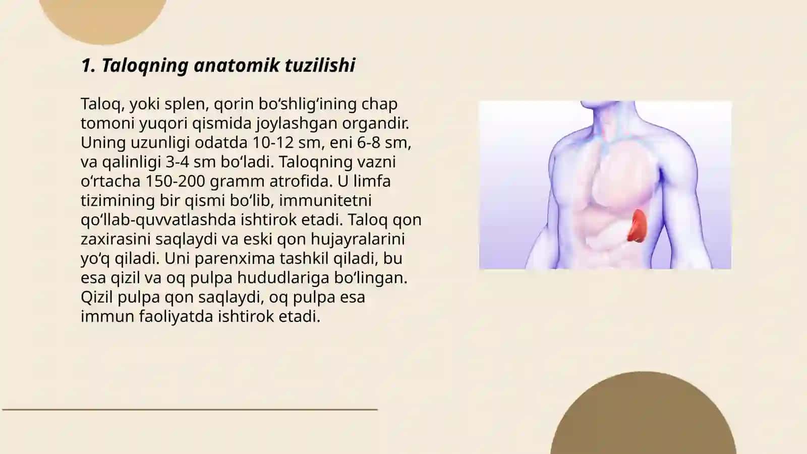 Taloq tuzulishi va topogirafiysi 3