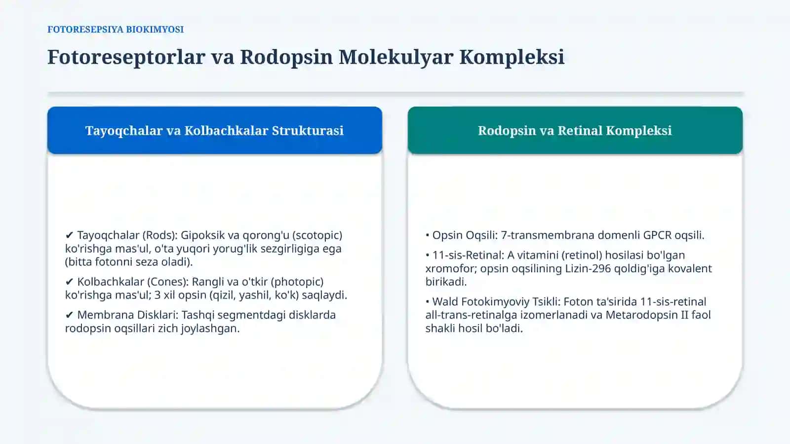 Sensor tizimlar faoliyatining biokimyoviy asoslari — 15 slayd 3
