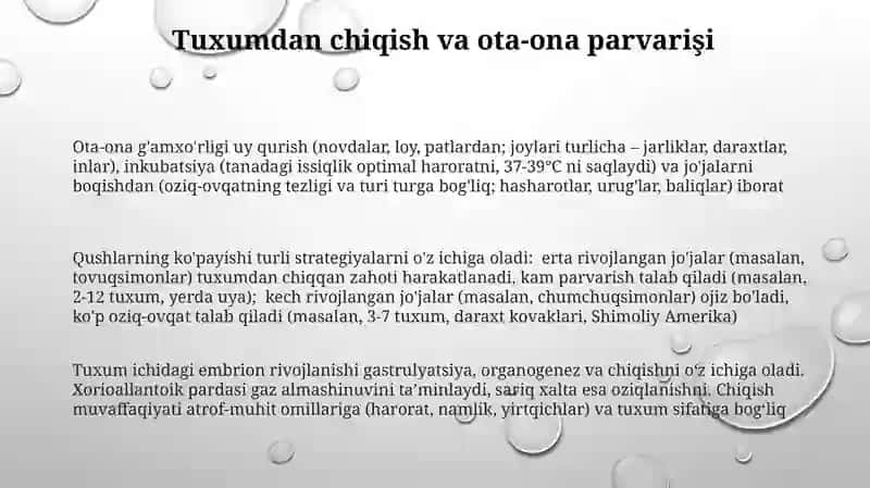 qushlarning kopayishi va rivojlanish xususiyatlari 3