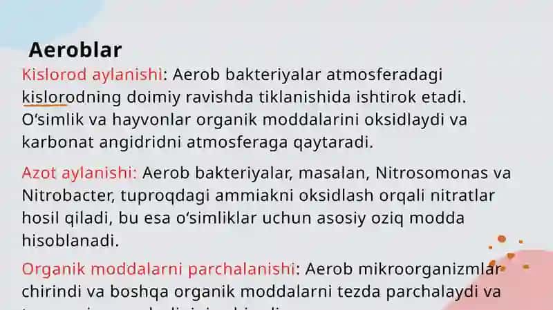 Aerobvaanaeroblarning biologik ahamiyati 3