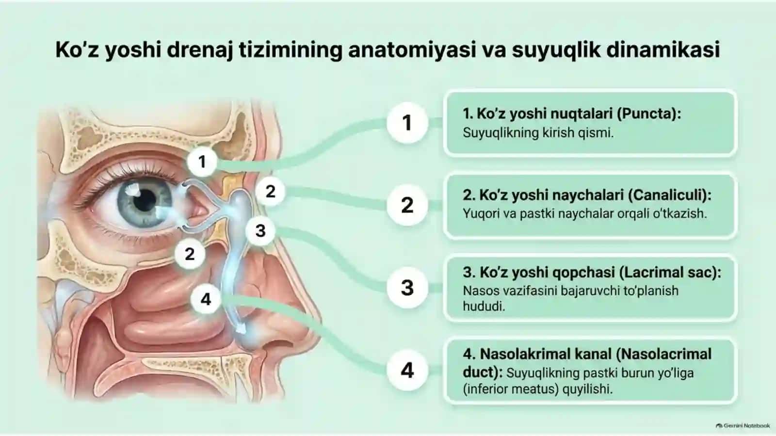 Ko‘z yoshi yo‘llarining jarrohlik usullari | 15 slayd 3
