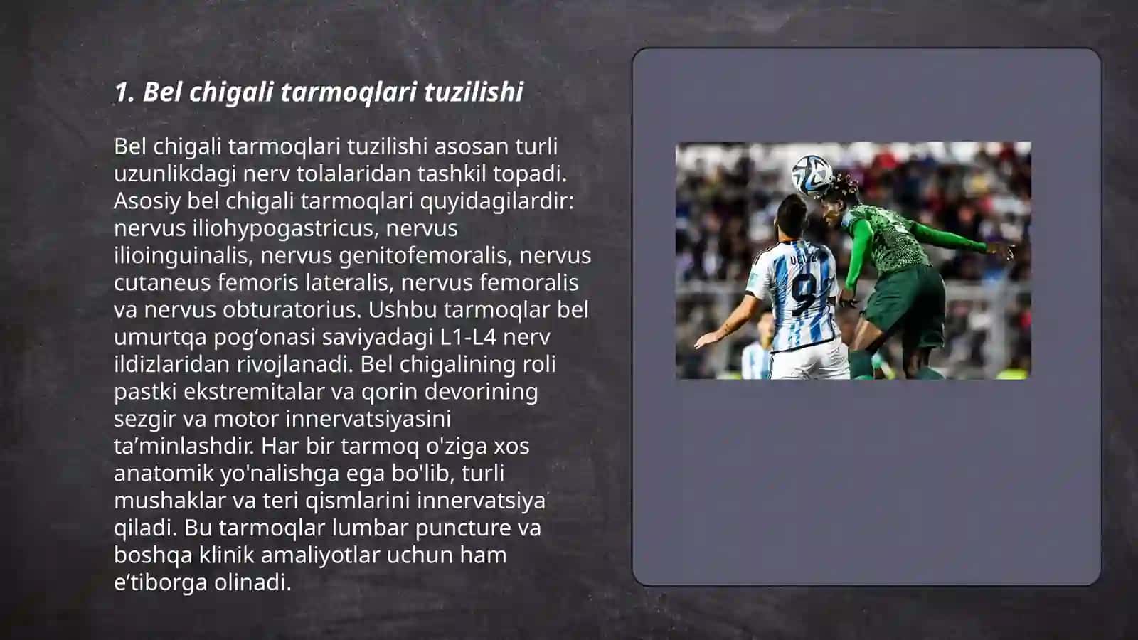 Bel va dumgʻaza chigali tarmoqlari tuzilishi 3