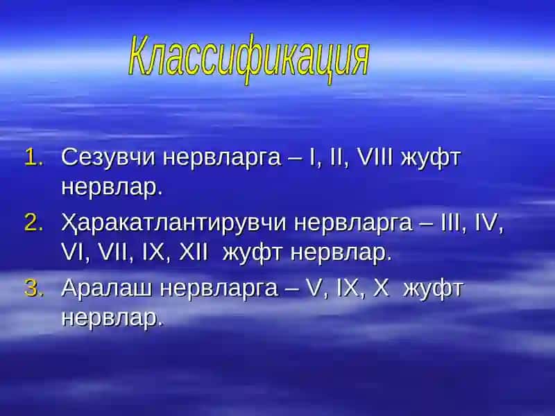 Taqdimot bosh miya nervlari 7-12 3