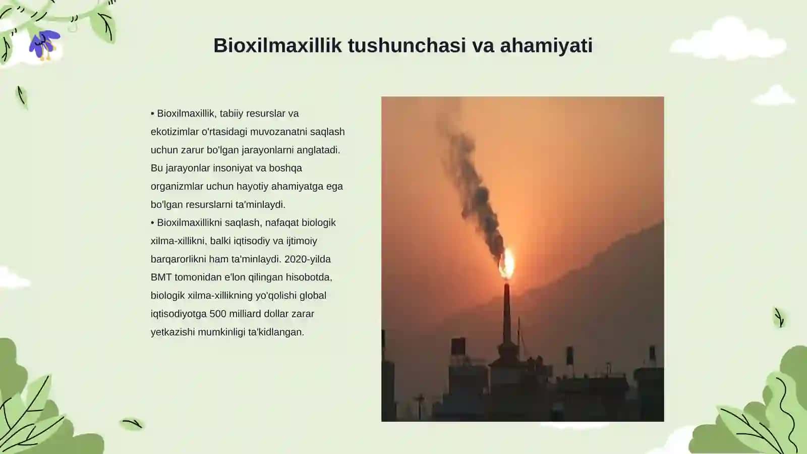 Bioxilmaxillikni muxofaza qilish 3