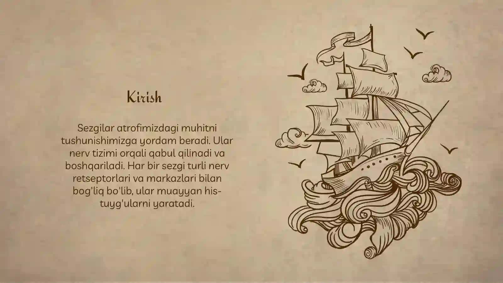 Sezgilar haqida umumiy tushuncha va uning nerv fiziologik xususiyatlari 3