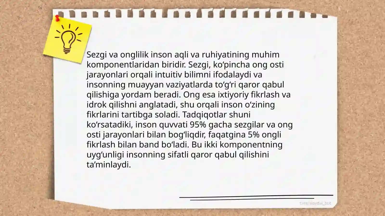 Sezgi 3