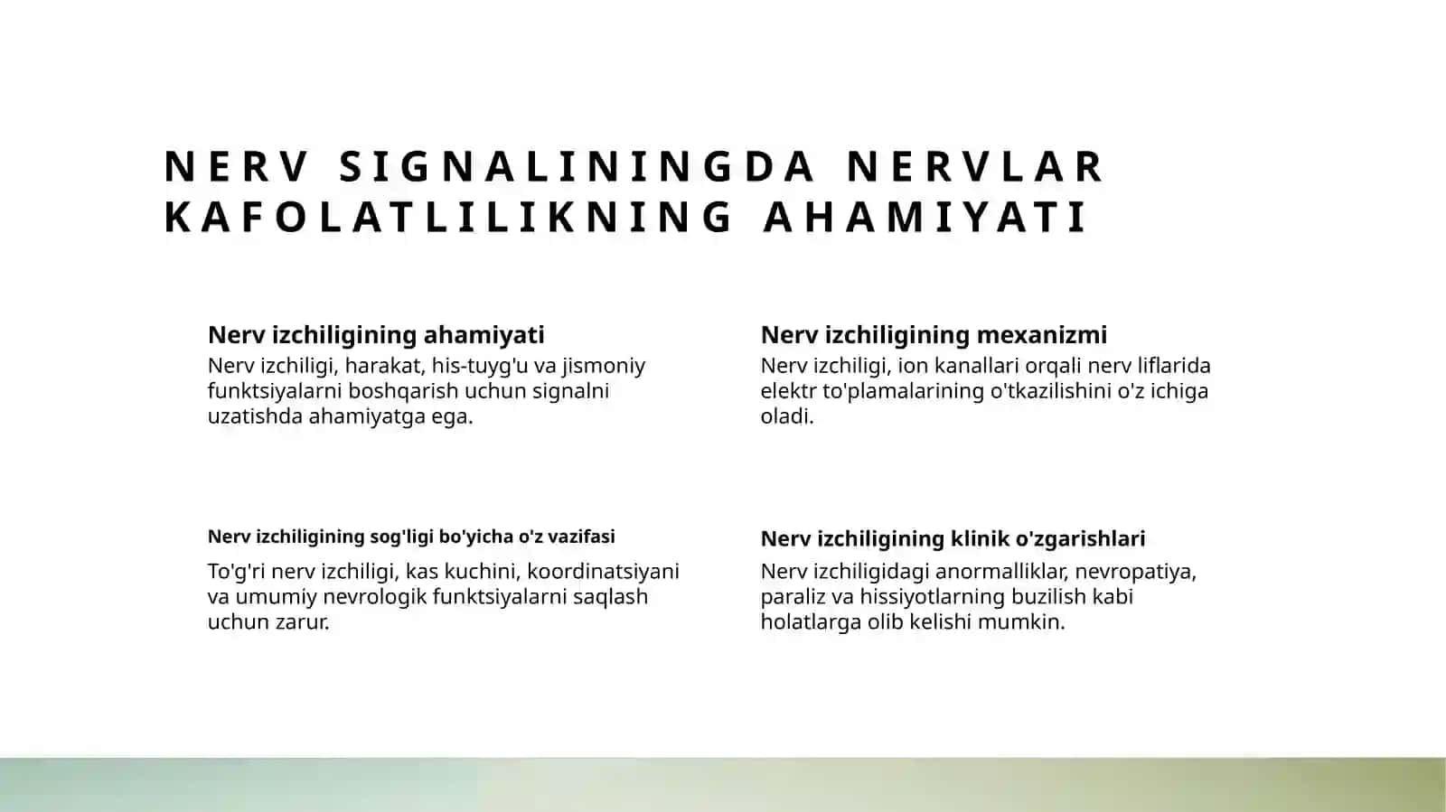 Nerv toʻqimasi 3
