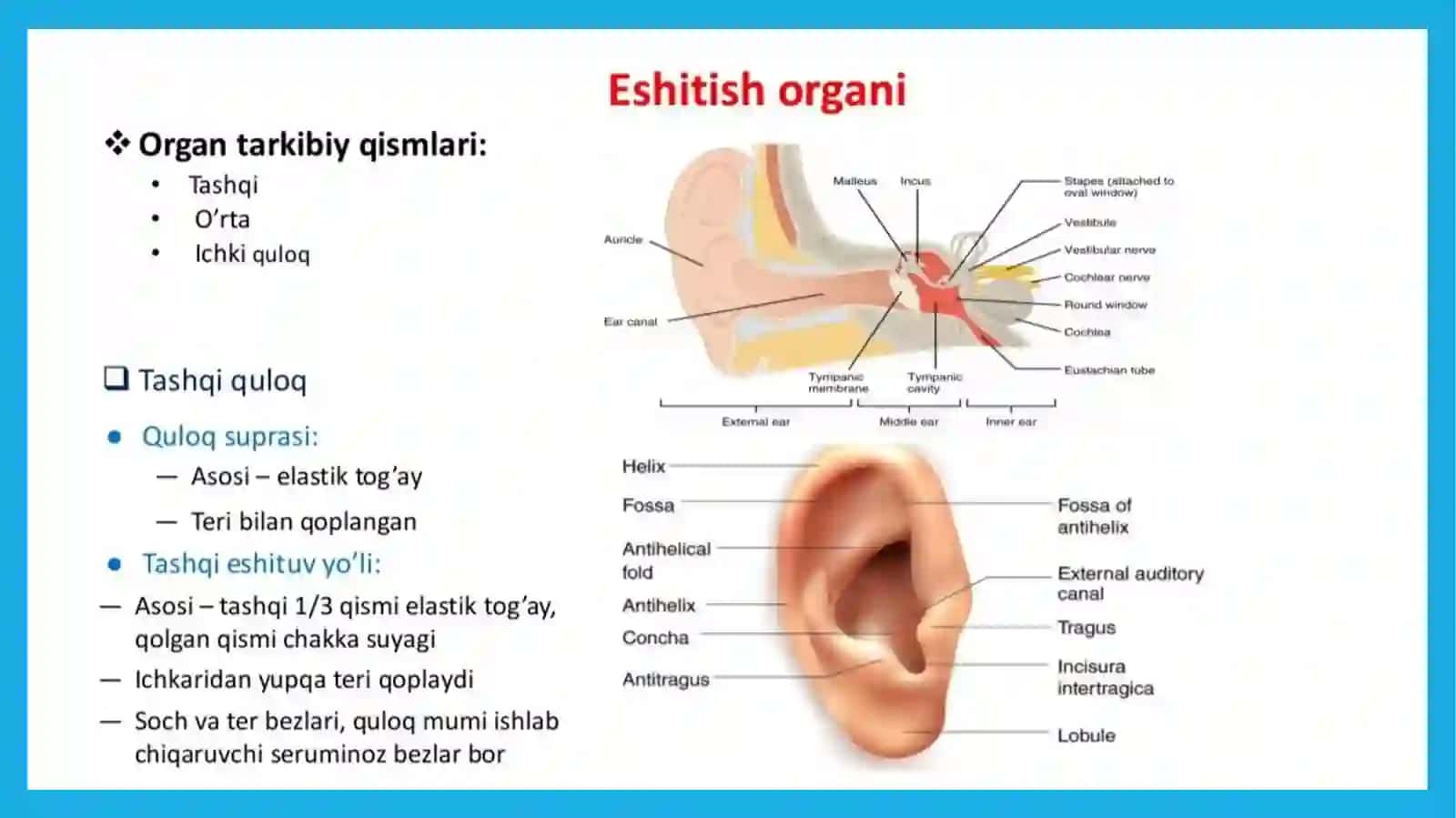 Eshitishazosi 3