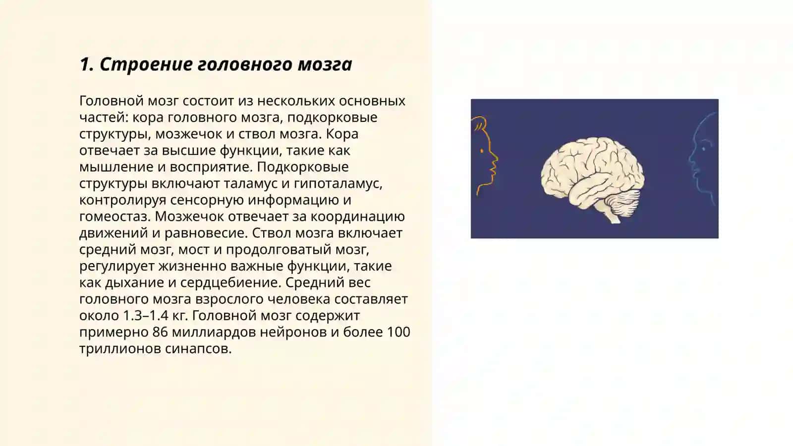 Головной мозг.Стили речи 3