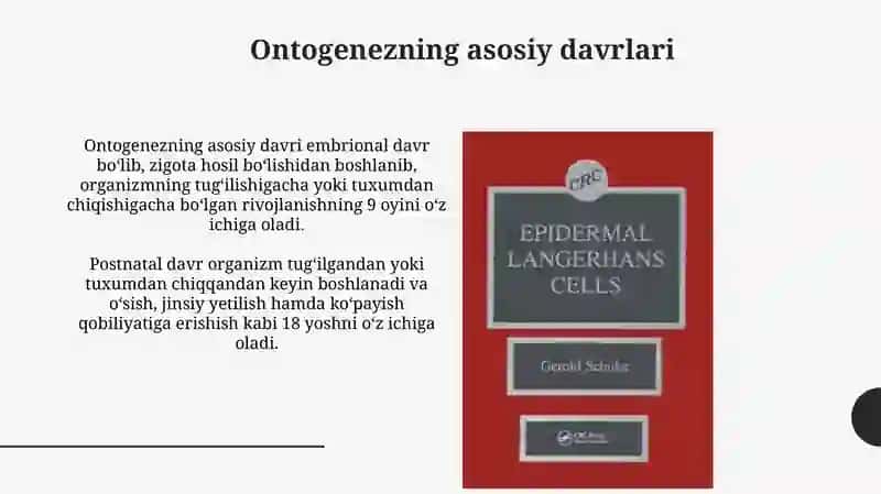 Ontogenez davrlari 3
