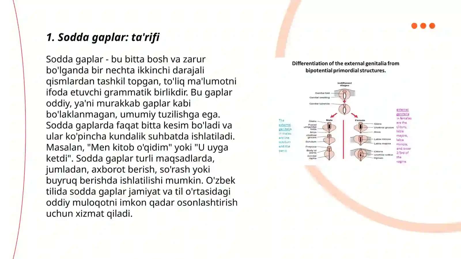 Sodda gaplar 3