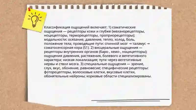 Хван Надежда 3
