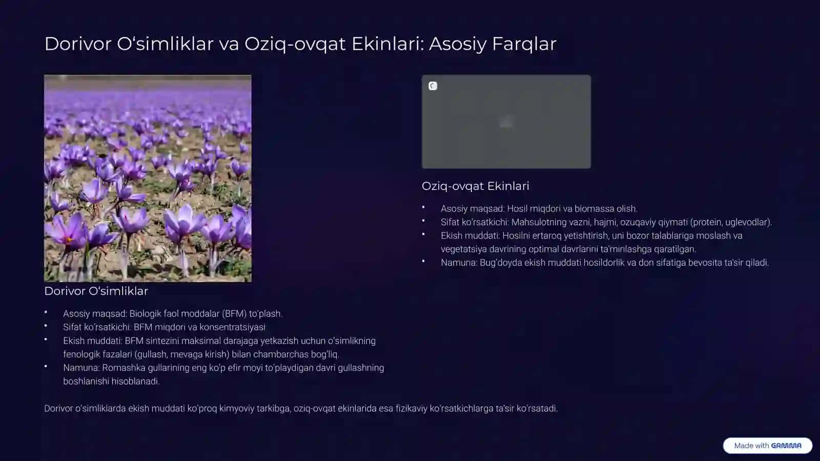 Dorivor O‘simliklarni Optimal Ekish Muddatlarining Ilmiy Asoslari 3