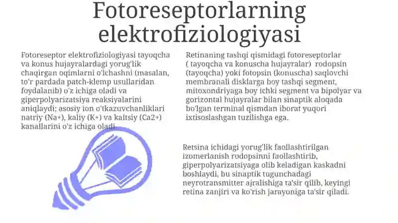 Fotoretseptor hujayralarining ultrastrukturasi va gistofiziologiyasi 3