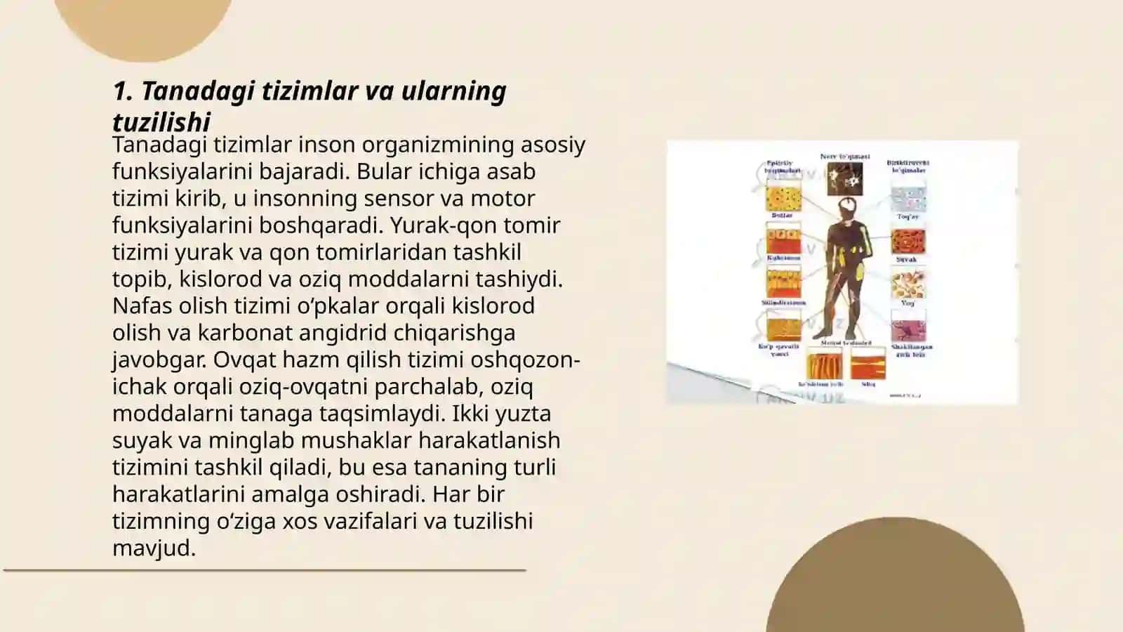 Tanadagi tizimlar va ularning tuzilishi 3