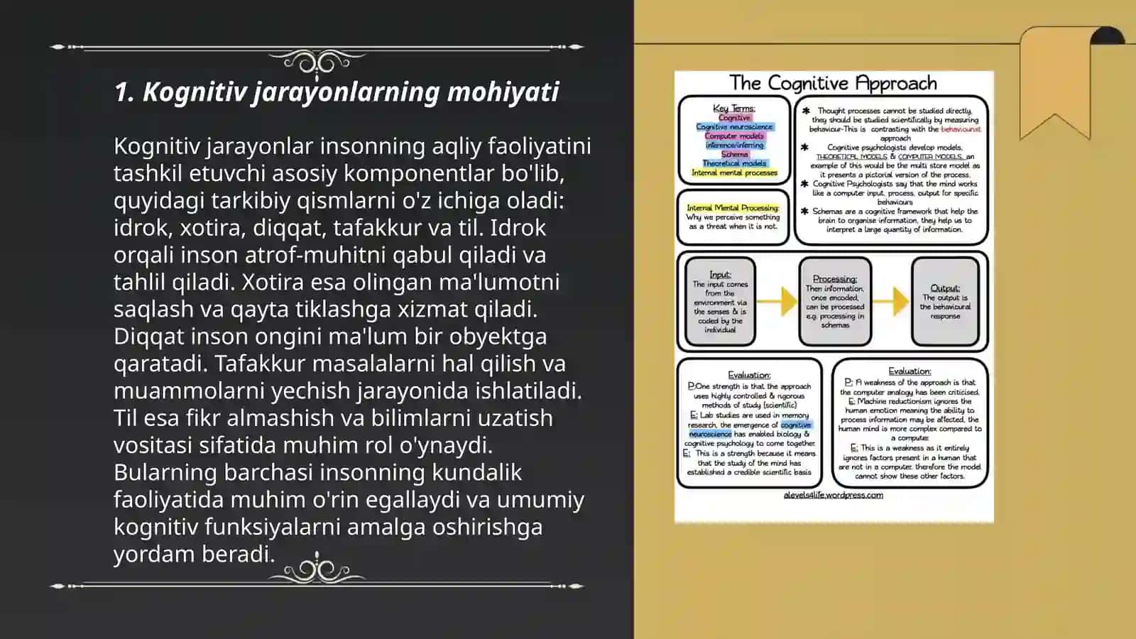 Kognitiv jarayonlarni shakllanishi. Insonda aks ettirish darajalari 3