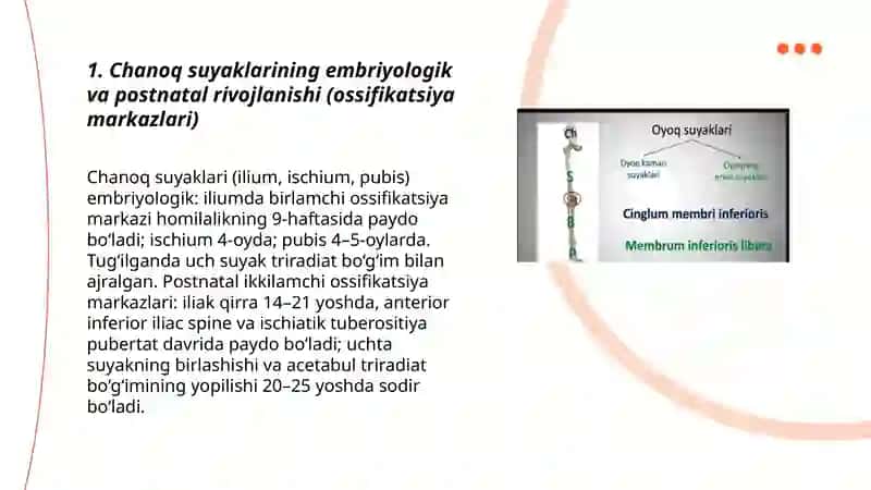 Chanoq va oyoq suyaklarining yoshga nisbatan xususiyatlari 3