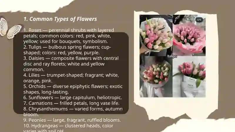 Flawers Muxlisa 3