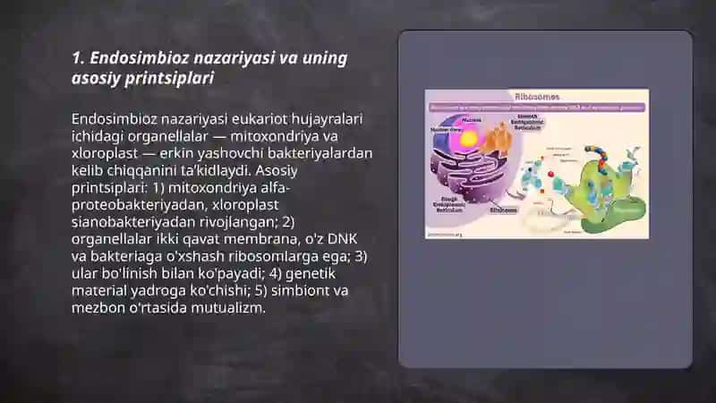 Eukariotlarning kelib chiqishi haqida zamonaviy tasavvurlar 3