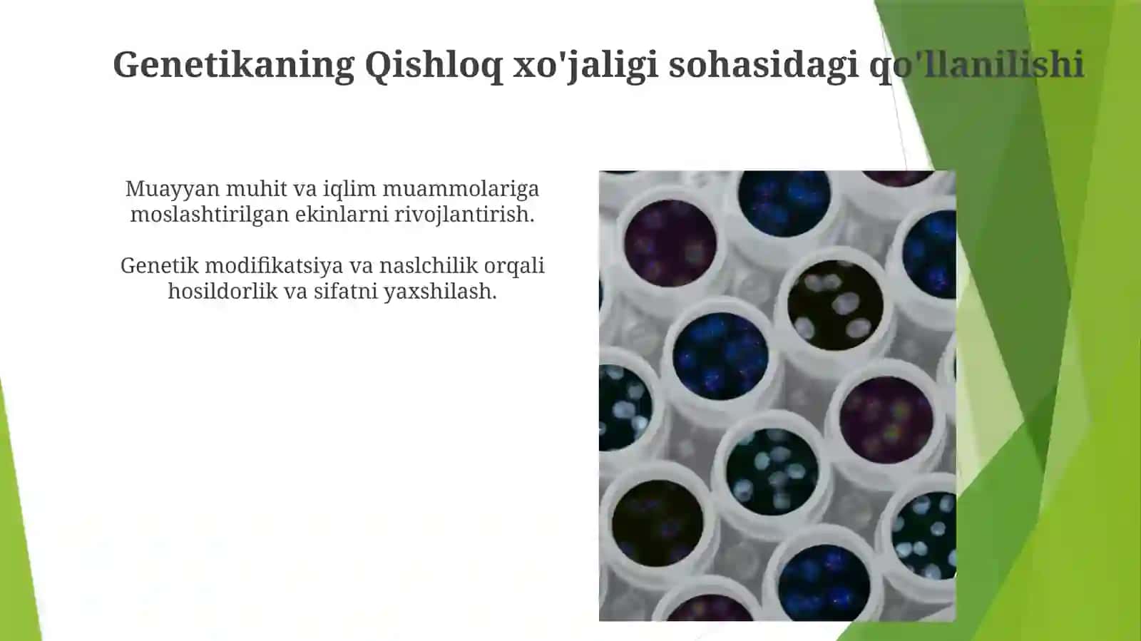 Genetikaning nazariy va amaliy ahamyati 3