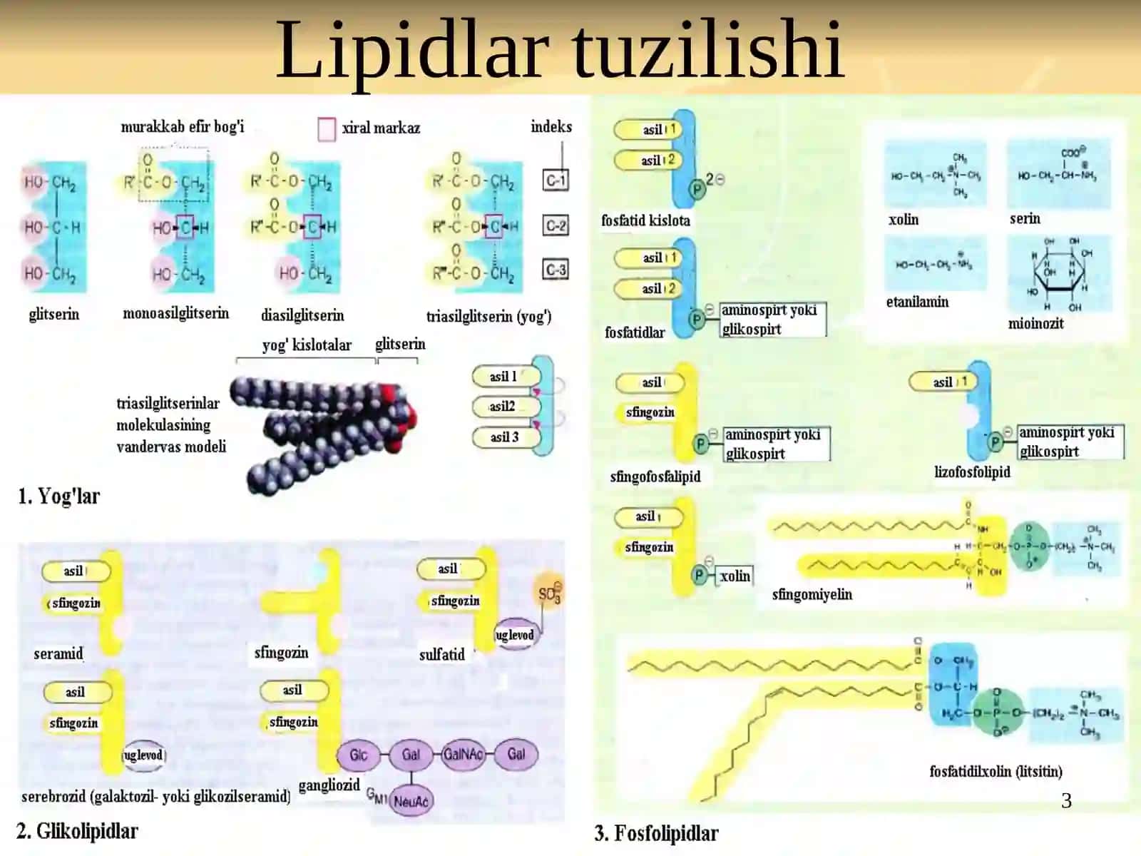 LIPIDLAR ALMASHINUVI BIOKIMYOSI 3