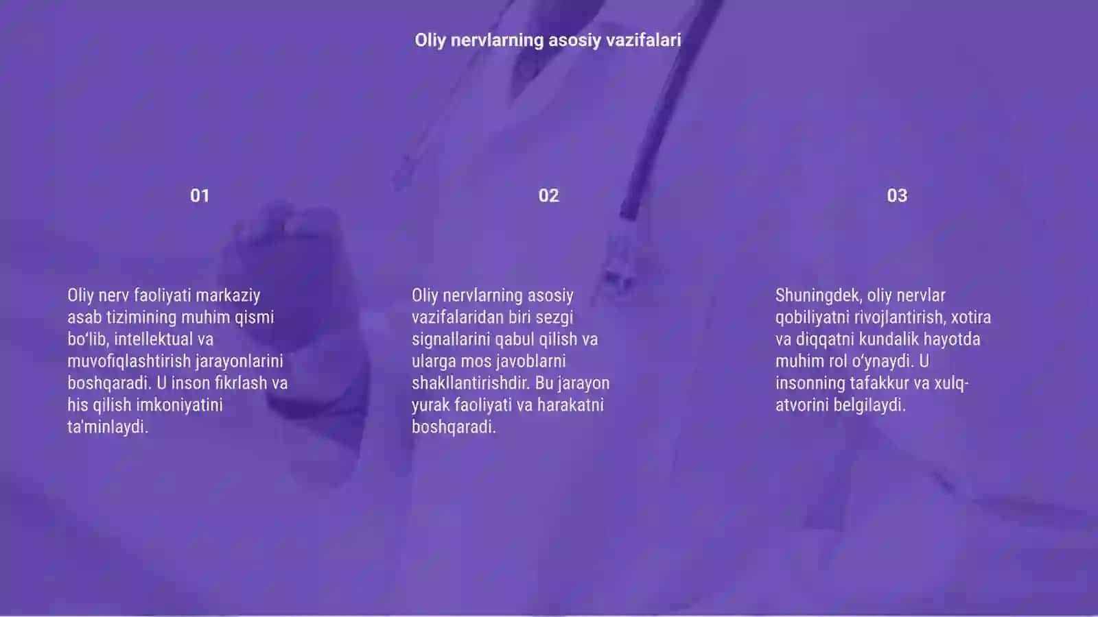 Oliy nerv faoliyati 3