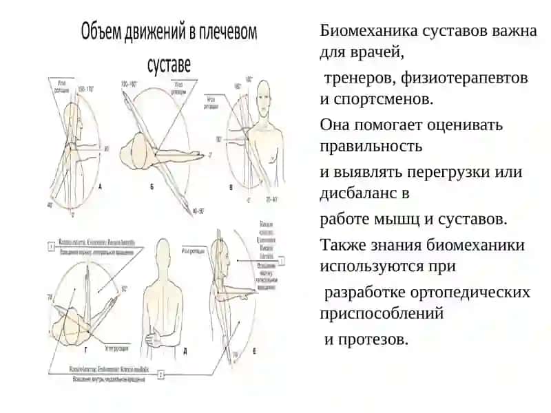 Биомеханика суставов 3