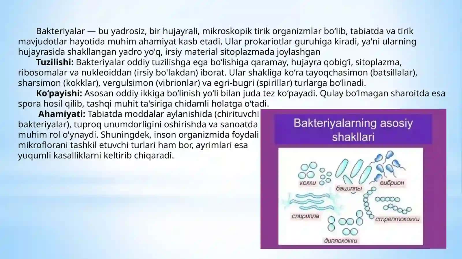 Bakteriyalarni  “Berji” aniqlagichi 3