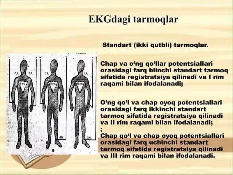 EKG ni yozib olish. Normal elektrokardiogramma 3