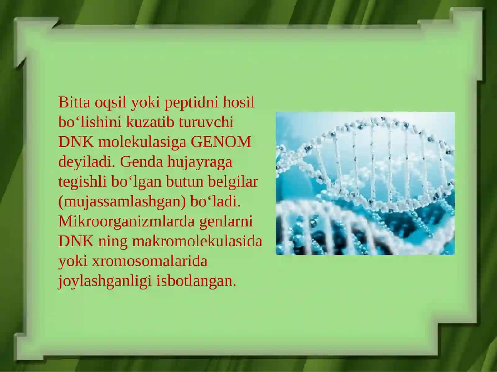 Mikroorganizmlar genetikasi mikroorganizmdagi o’zgaruvchanlik va ulardan tibbiyotda foydalanish 3