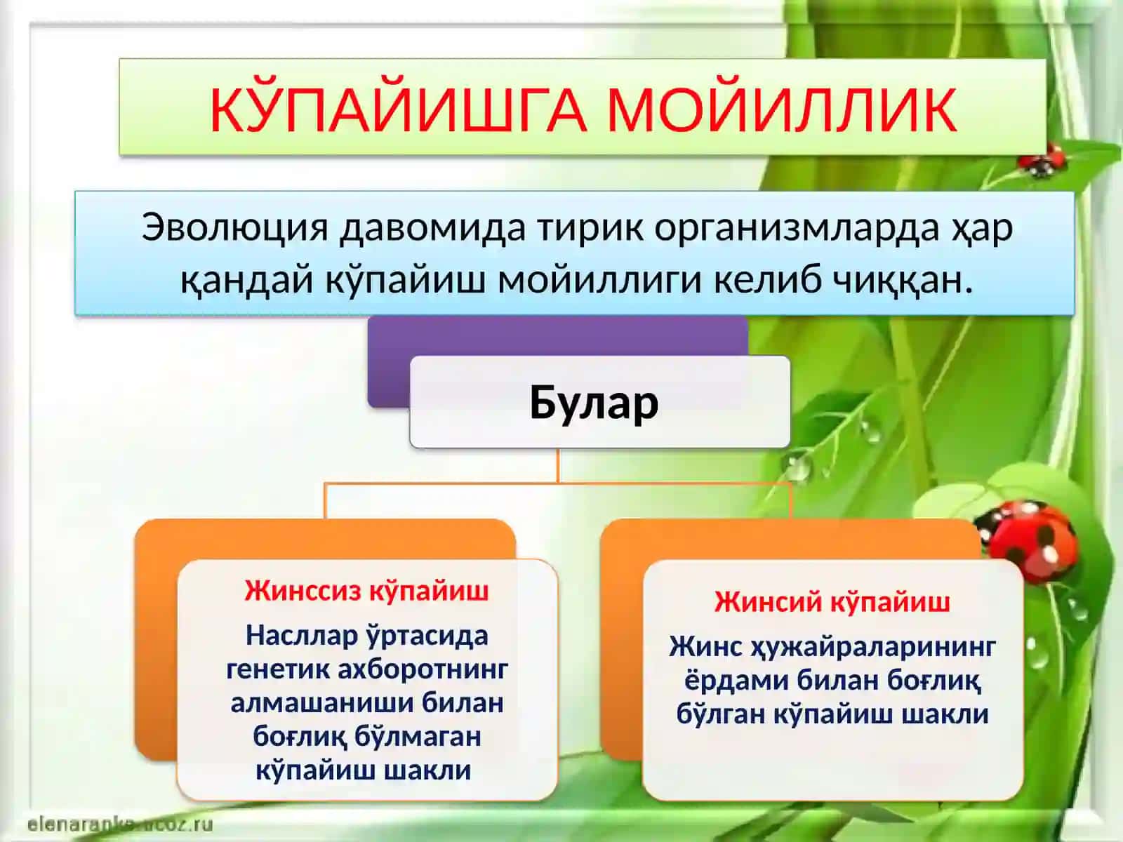 TOSHKENT TIBBIYOT AKADEMIYASI2-DAVOLASHISHI FAKULTETI106 B GURUH TALABASI 3