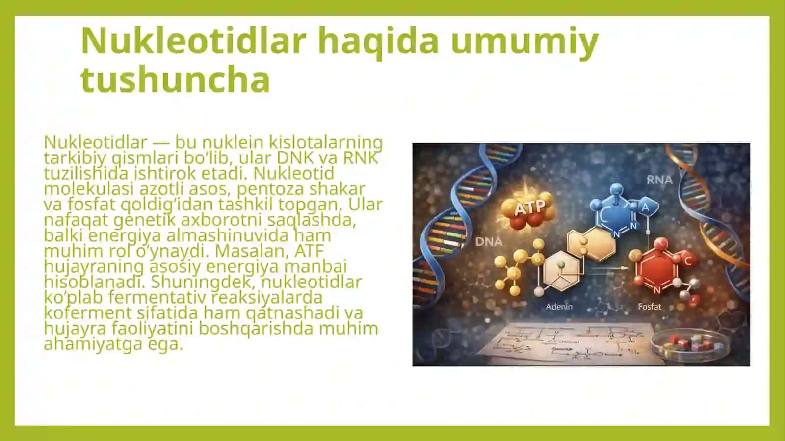 Nukleotidlar almashinuvi. Uglevod, yogʻ, aminokislotalar almashinuvining oʻzaro bogʻliqligi 3