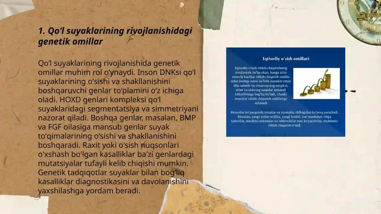Qoʻl suyaklarining variantli anatomiyasi rivojlanish nuqsonlari qoʻl suyaklarini ichki va tashqi faktorlarining ta'siri 3