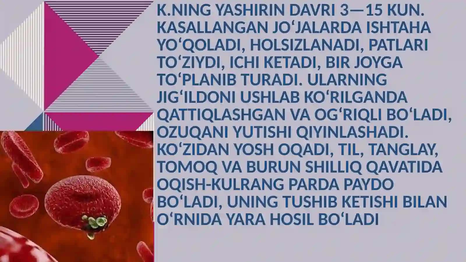 Kandidoz 3