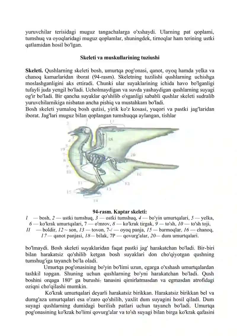 Qushlar sinfi 3