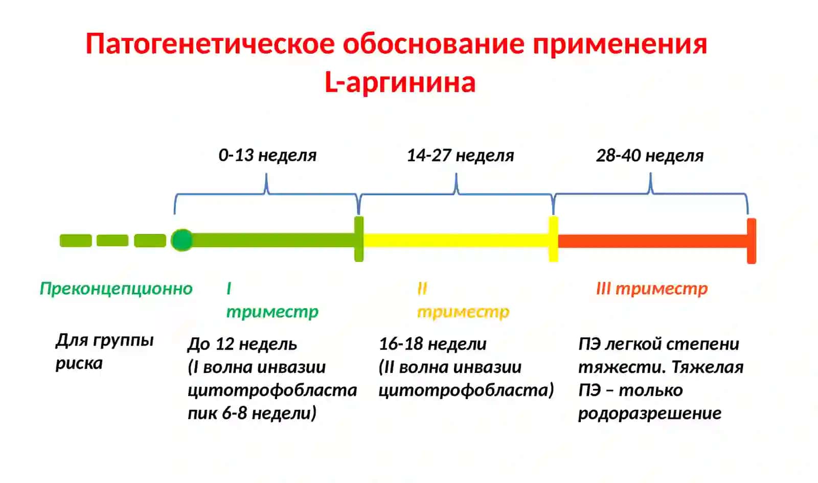 Роль L-аргинина в планировании и течении беременности 3