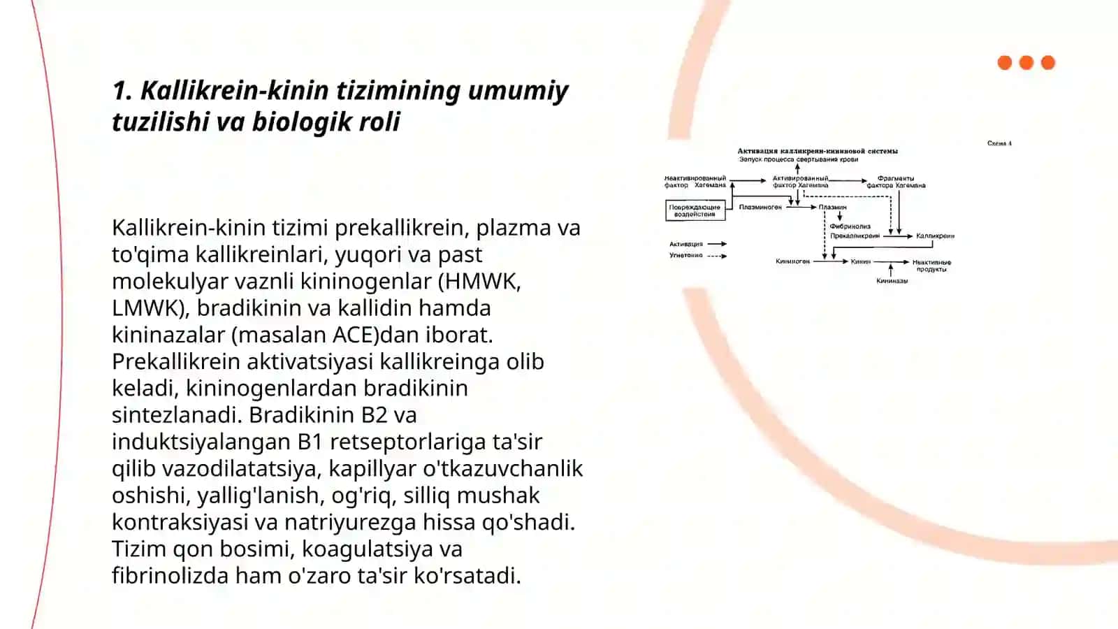 Kallikrein-kinin tizimi 3