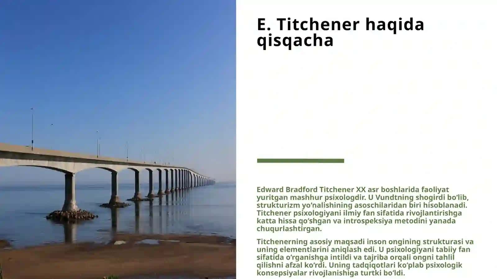 E.TITCHENERNING RADIKAL INTROSPIKTSIONIZMI 3
