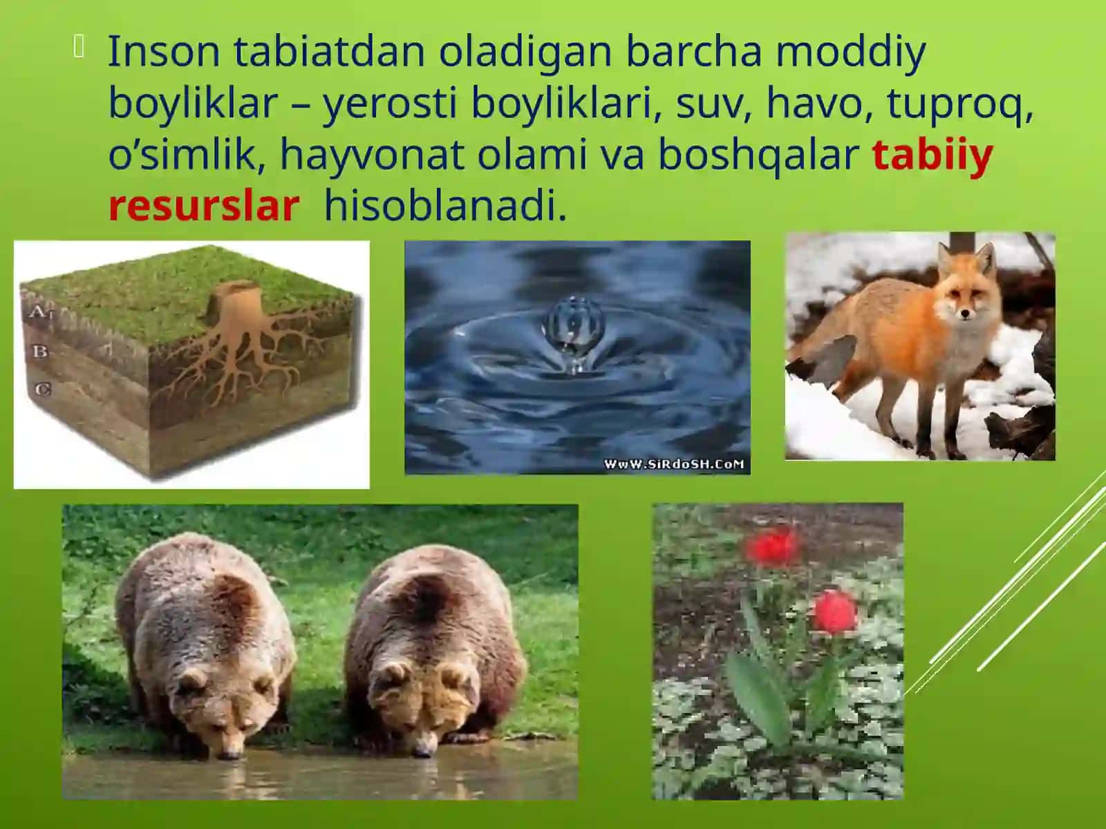 Tabiiy resurslar va ularning hududiy taraqqiyot doirasida tutgan o'rni 3